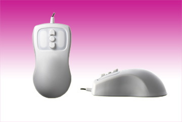 PI 142 Petite Mouse